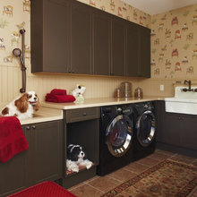 Dog Bath
