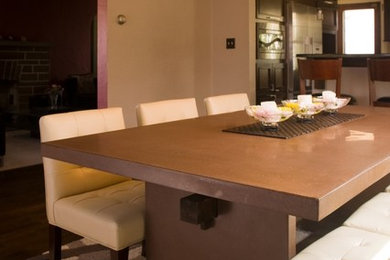 Dining room - contemporary dining room idea in Other