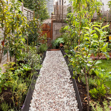 Edible Garden