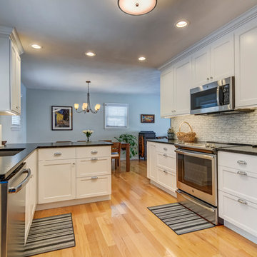 Beautiful Minimalist Style Kitchen in Springfield