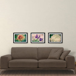 Digital Mockup --- Secret Garden Collection - Products