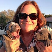 Susie Walsh's photo