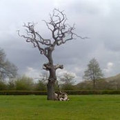 Hannah Davies's photo
