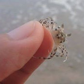 Ferdinand Mailon's photo