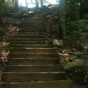 Alondra Miller's photo