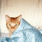 Kristin Doyle's photo