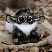 Melissa Herron's photo