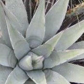 Lynn Wiedrick-Zoltak's photo