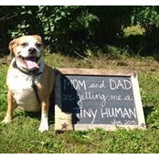 Jeanette McNalty Brooker's photo