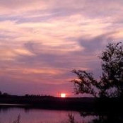 Lynne Eikel's photo