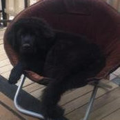 Lisa Lambrecht's photo