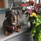 Ann Siegel's photo