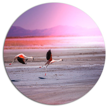 Flying Pair Of Cute Flamingos, Animal Round Metal Wall Art, 23"