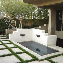 Mid Century Garden