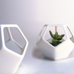 3D Printed Dodecahedron Planters - Decorative Bowls