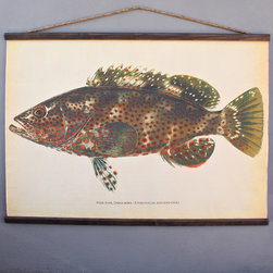 rock hind grouper chart - Prints And Posters