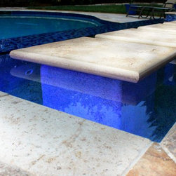 Gunite Pool with Negative Edge, Lighting, & Built in Stone Pathway - Products