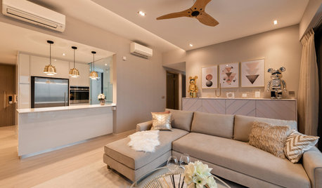 Houzz Tour: Condo Blends Clean Scandi Lines With Rustic Charm