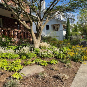 Front Yard Transformation