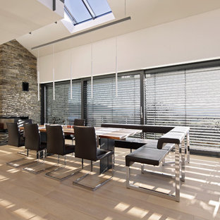 エッセンの広いコンテンポラリースタイルのLDKの画像 (白い壁、淡色無垢フローリング、両方向型暖炉、石材の暖炉まわり)