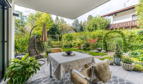 Hecke statt Zaun: Tipps für den grünen Rahmen ums Grundstück