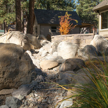 Forest home backyard renovation