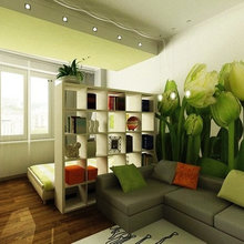 Stylish Ways To Divide A Small Apartment