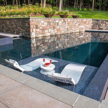 sun shelf with ledge loungers