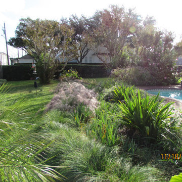 Rain Garden - Rock-Lined Swales (Dry Creek Beds)