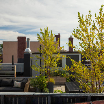 Carroll Gardens Shared Rooftop Garden