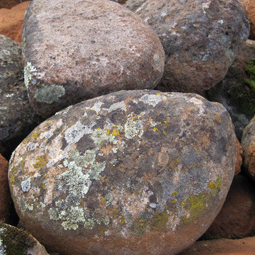 Moss Builders