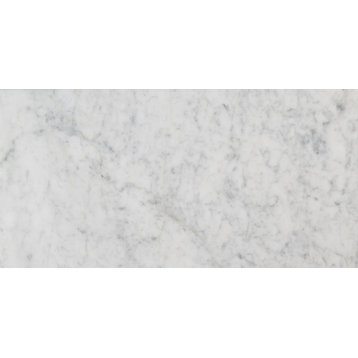 MSI T1224 12" x 25" Rectangle Floor and Wall Tile - Polished - Carrara White