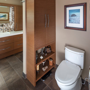 Ageing in Place Bathroom
