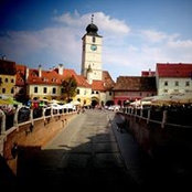 Florin Ristea's photo
