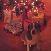 Nicholas Romano's photo