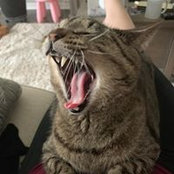 Erica Csatlos's photo