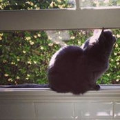Helen Lee's photo