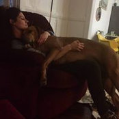 Aria Pepperoni's photo