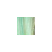 Max Krosser's photo