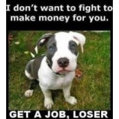 Heather Godsey-Davis's photo