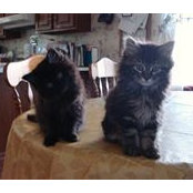Stephanie Michalk's photo