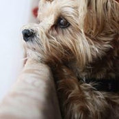 Cheryl Berry's photo