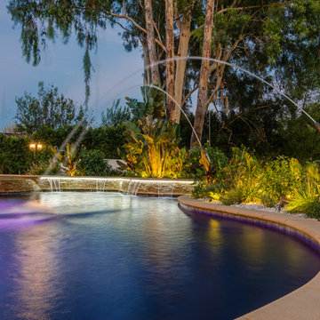 Contemporary Full Home Remodeling