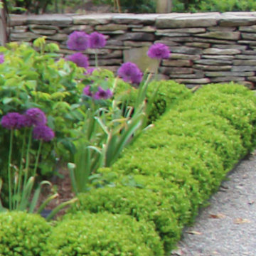 Back garden in Pound Ridge