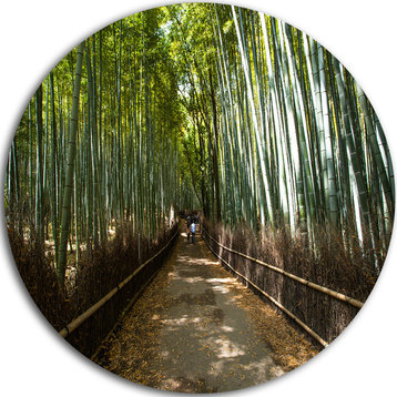 Wide Pathway In Bamboo Forest, Forest Disc Metal Artwork, 11"