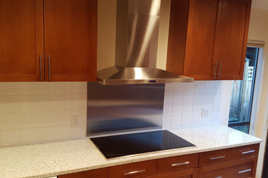 Inspiration for a kitchen remodel in Ottawa