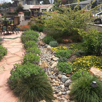 Sustainable eclectic garden