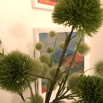 Grüne Kugelblume -Allium