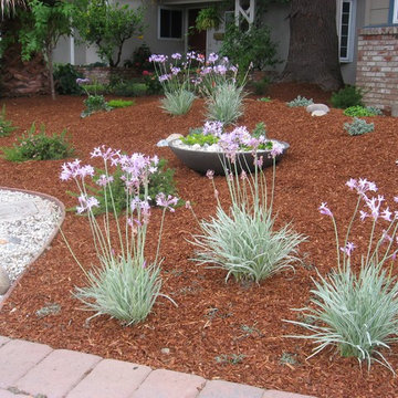 Small Garden Lawn Replacement