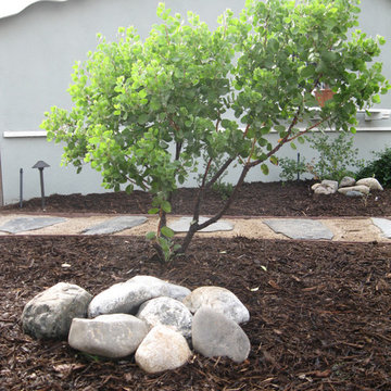 Drought Tolerant Front Yard Garden
